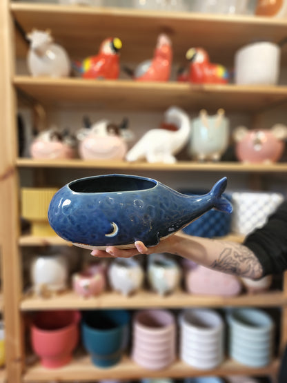 Willy Whale Planter