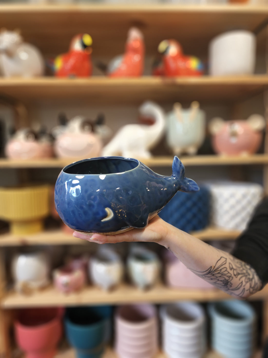 Willy Whale Planter