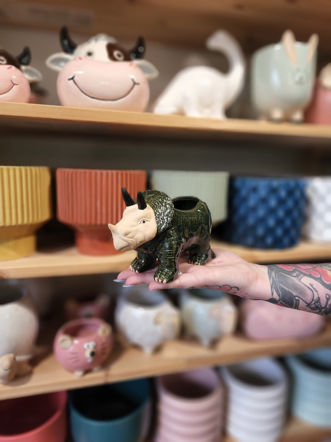 Dino-Cool Planter