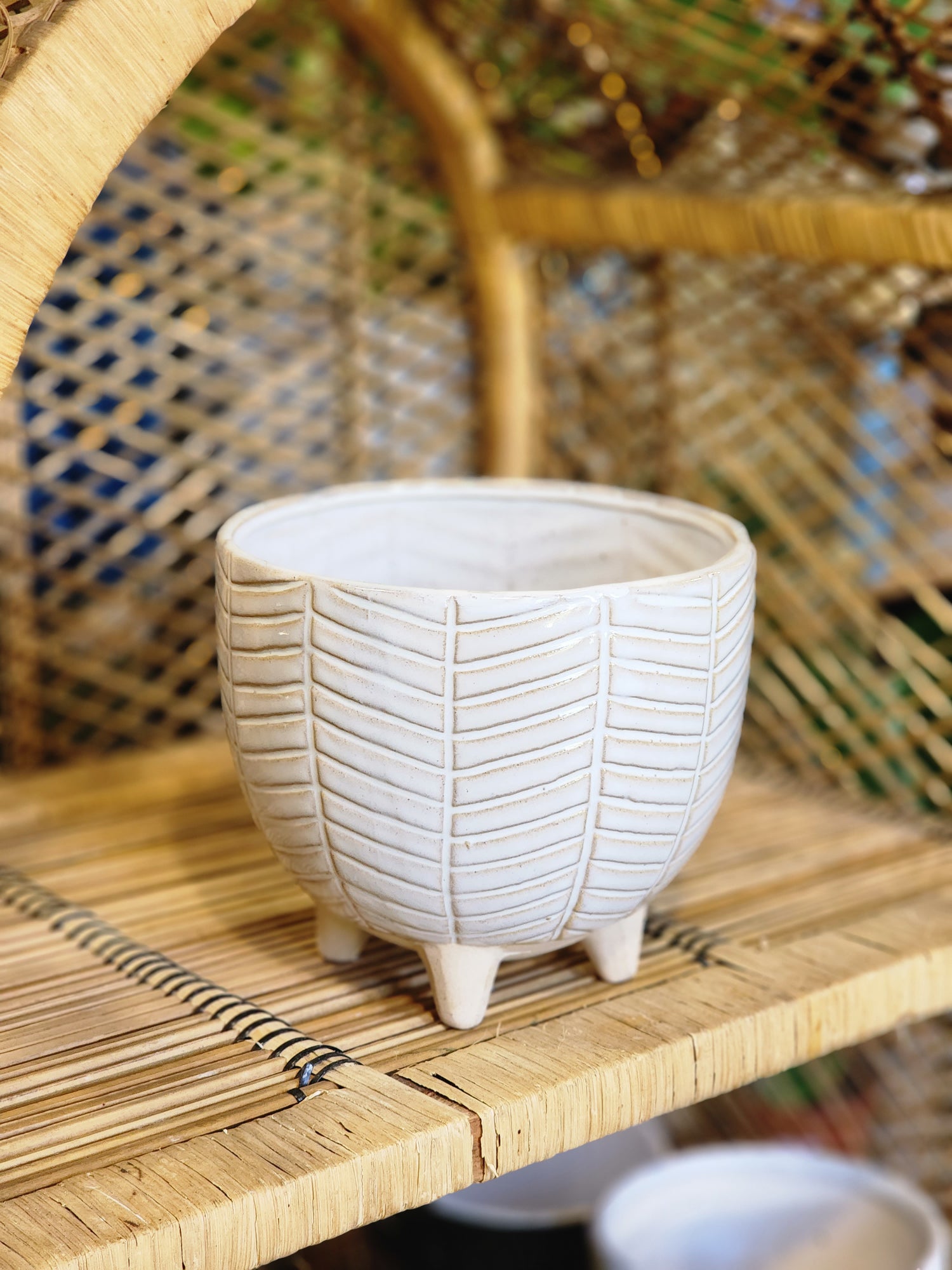 Wide Hide Planter
