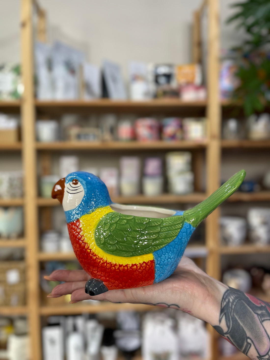 Lorikeet Planter