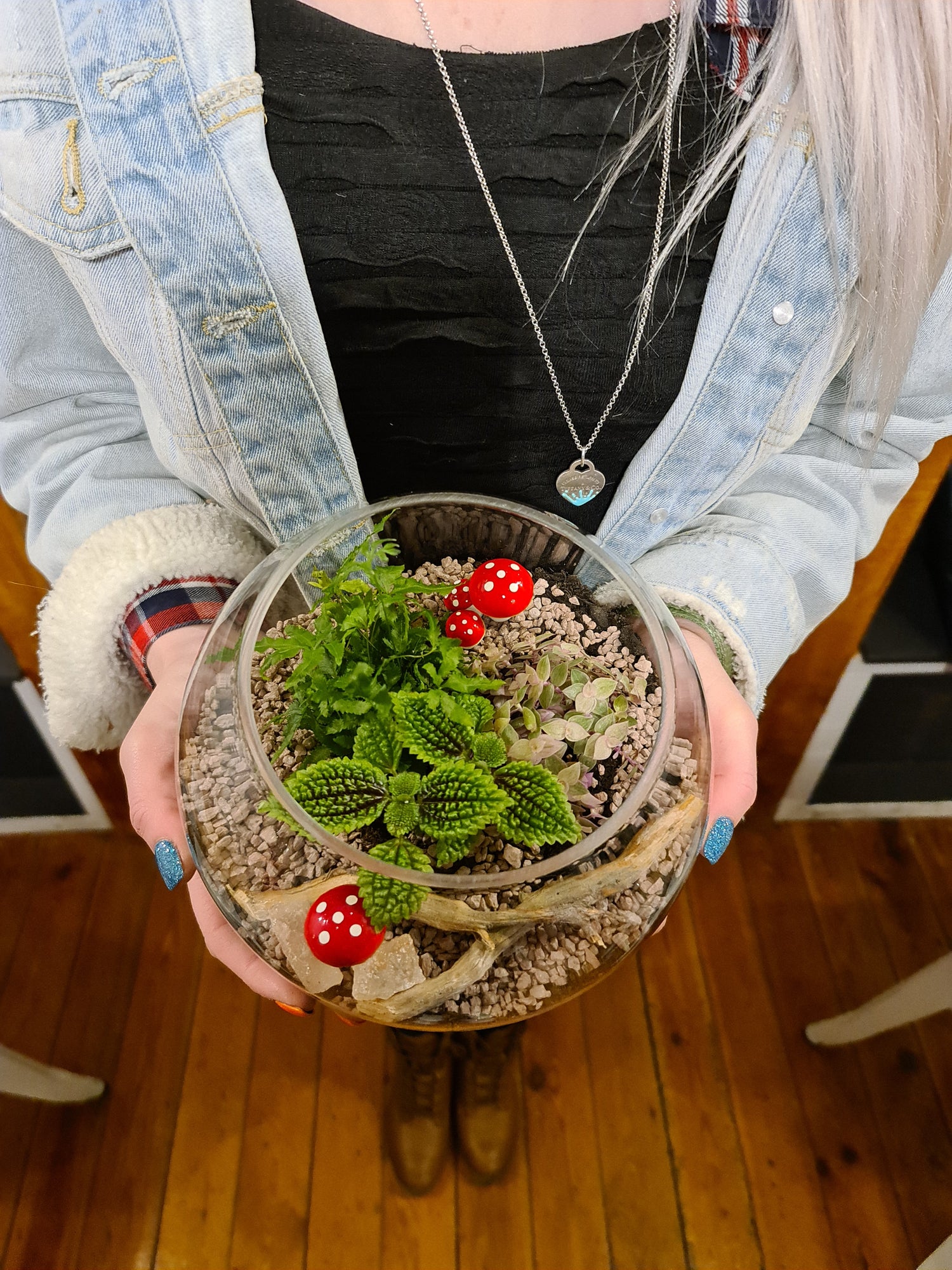 DIY Terrarium Kit - Choose Your Own Adventure