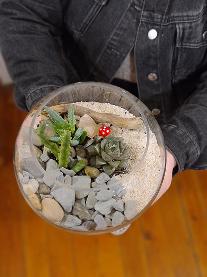 DIY &quot;Beachy Vibes and Such&quot; Terrarium Kit