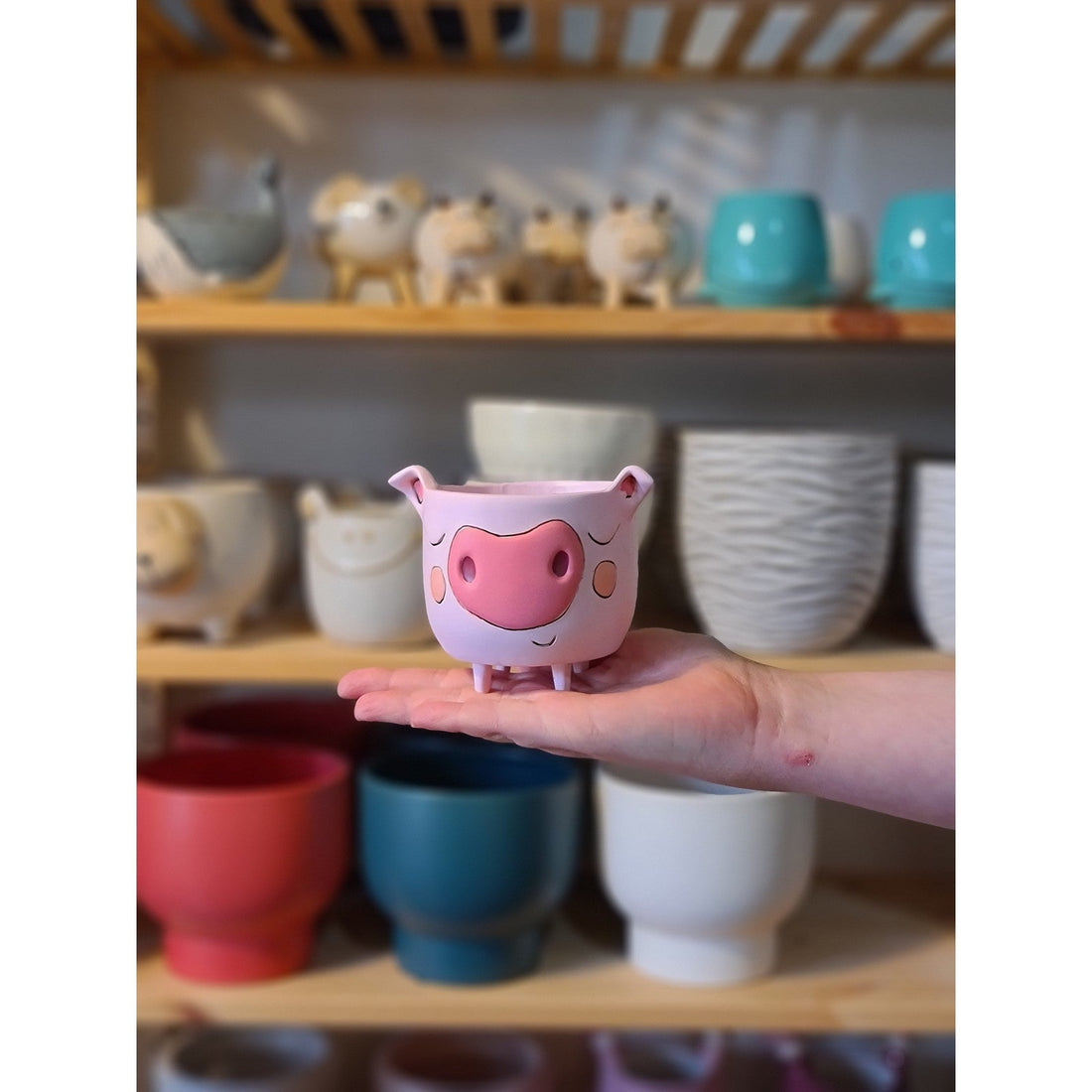 Baby Piggy Planter