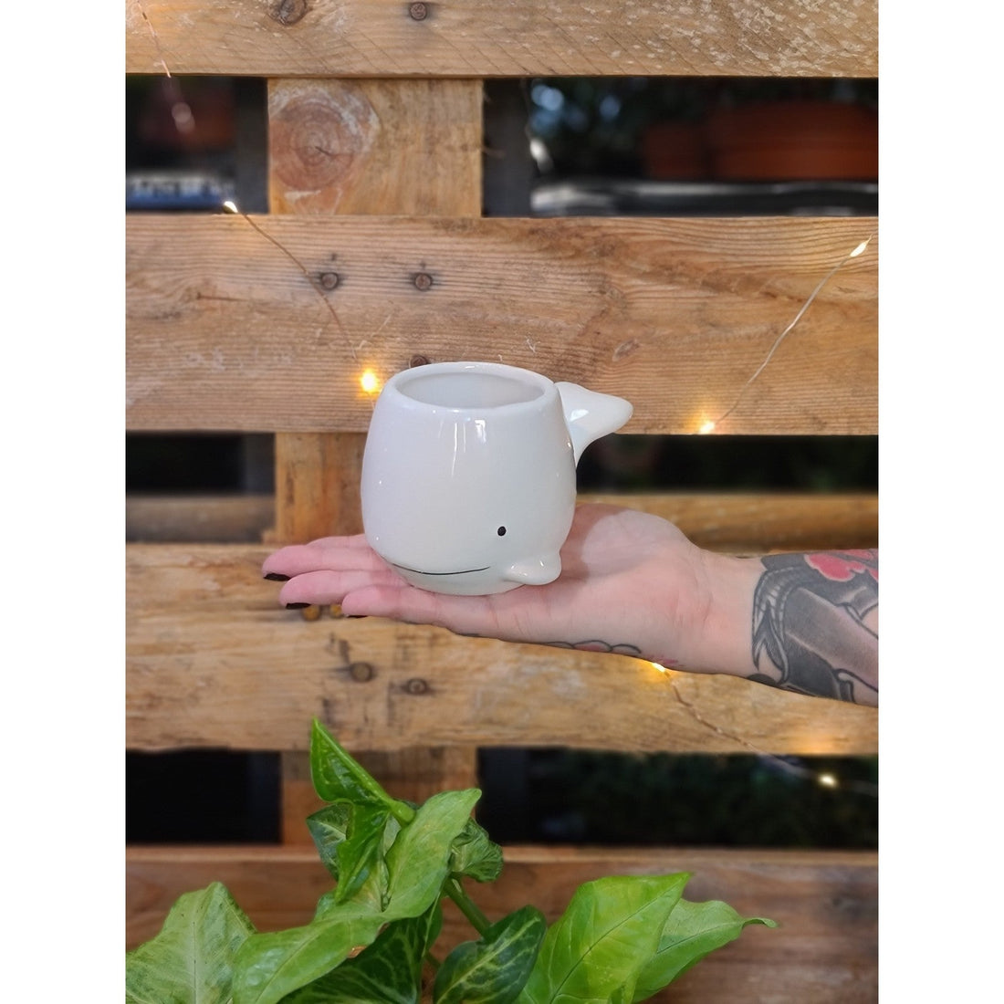 Baby Whale Planter