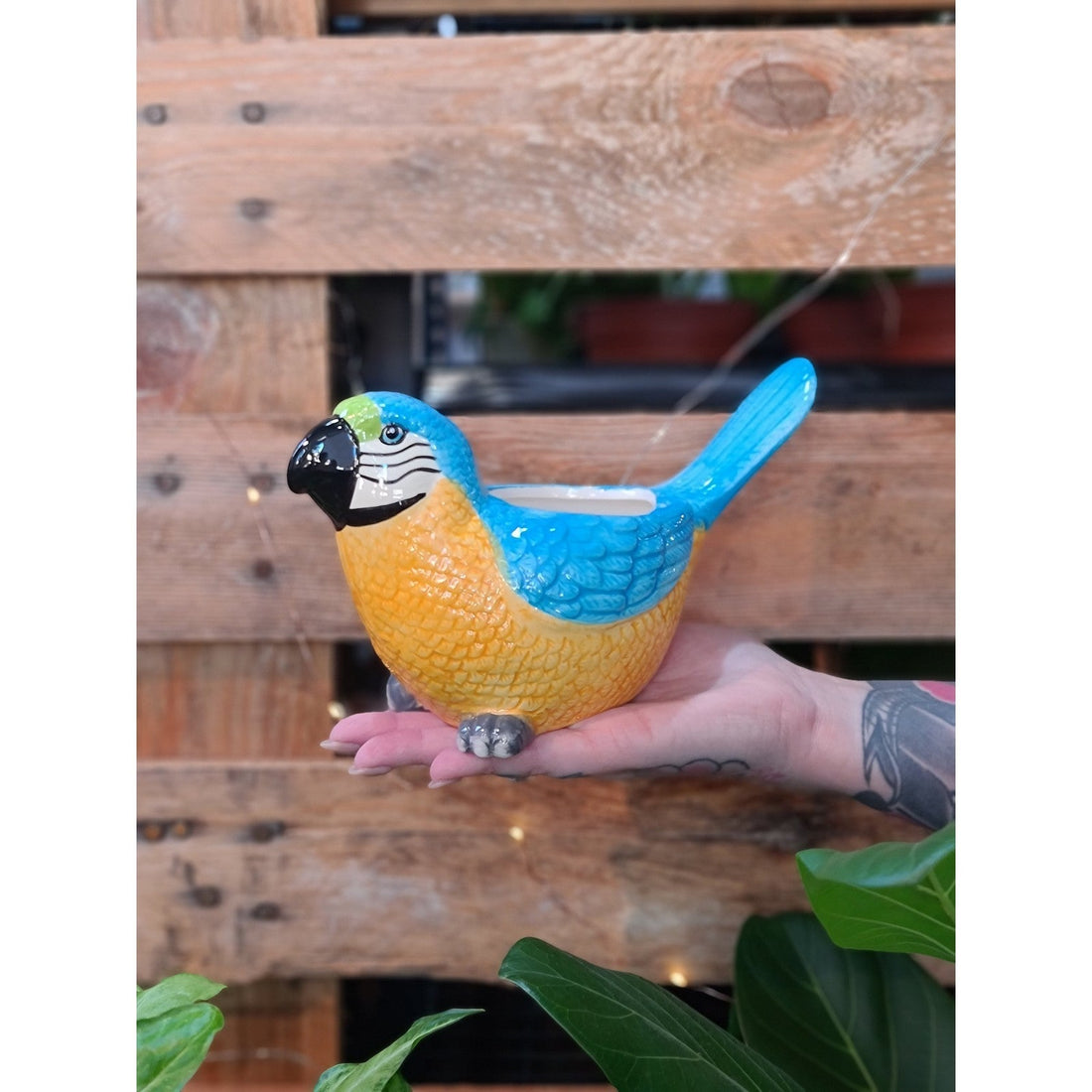 Blue Lorikeet Planter