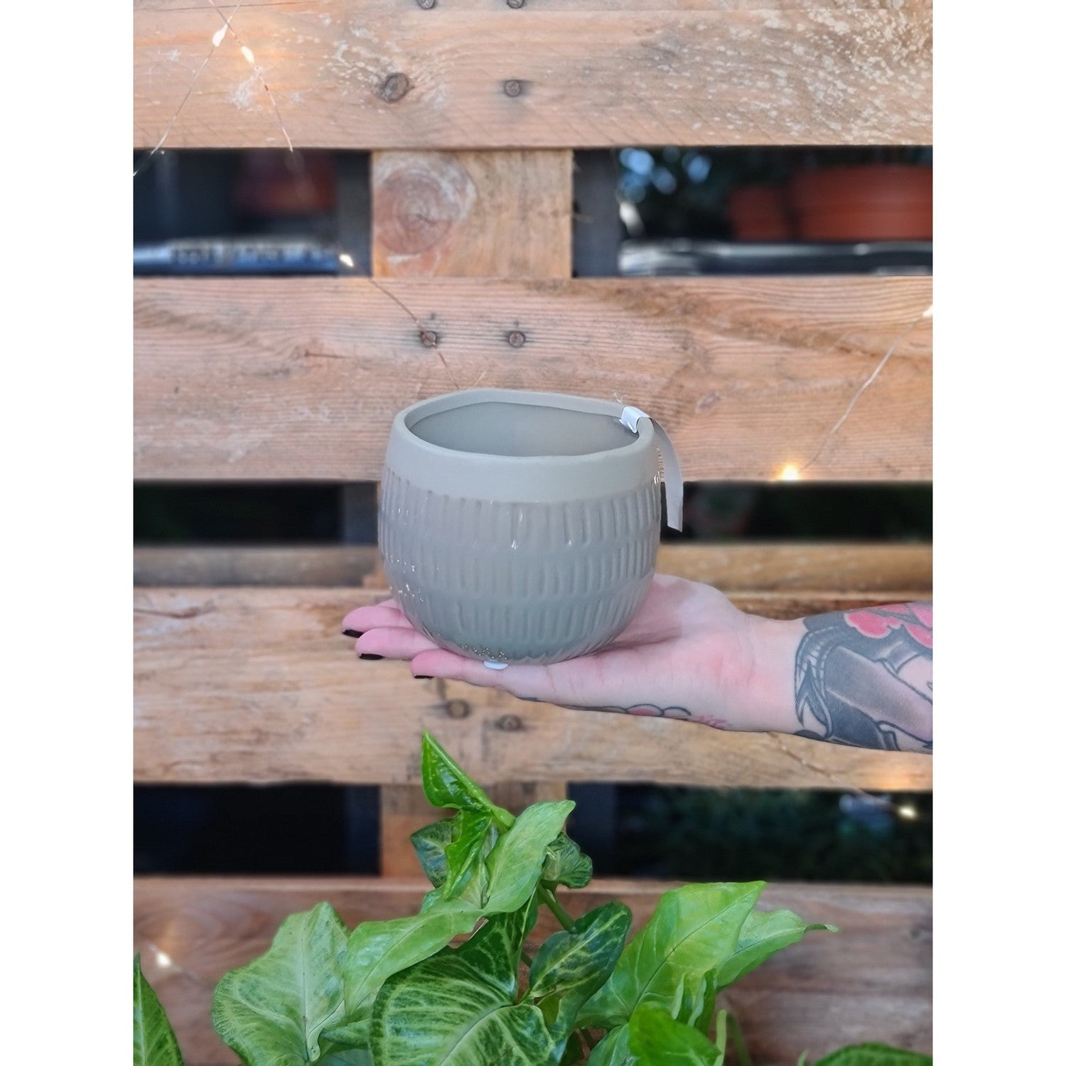 Ceramic Cozy Pot