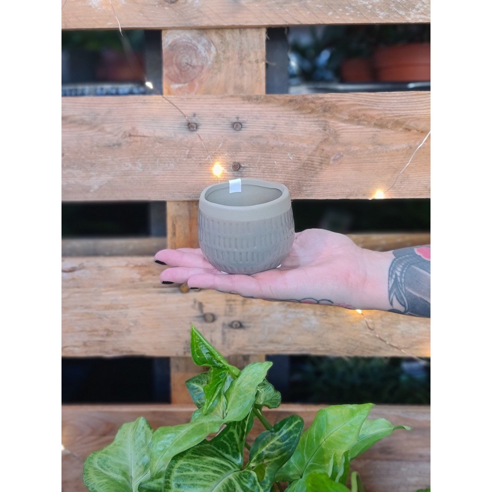 Ceramic Cozy Pot
