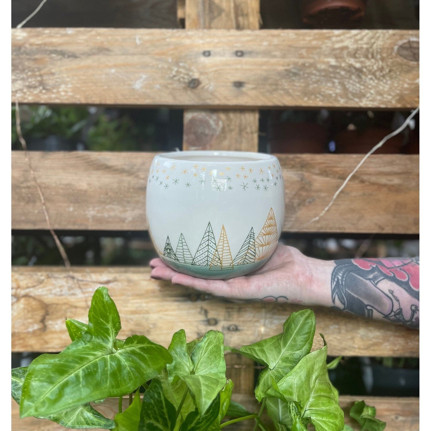 Christmas Forest Planter