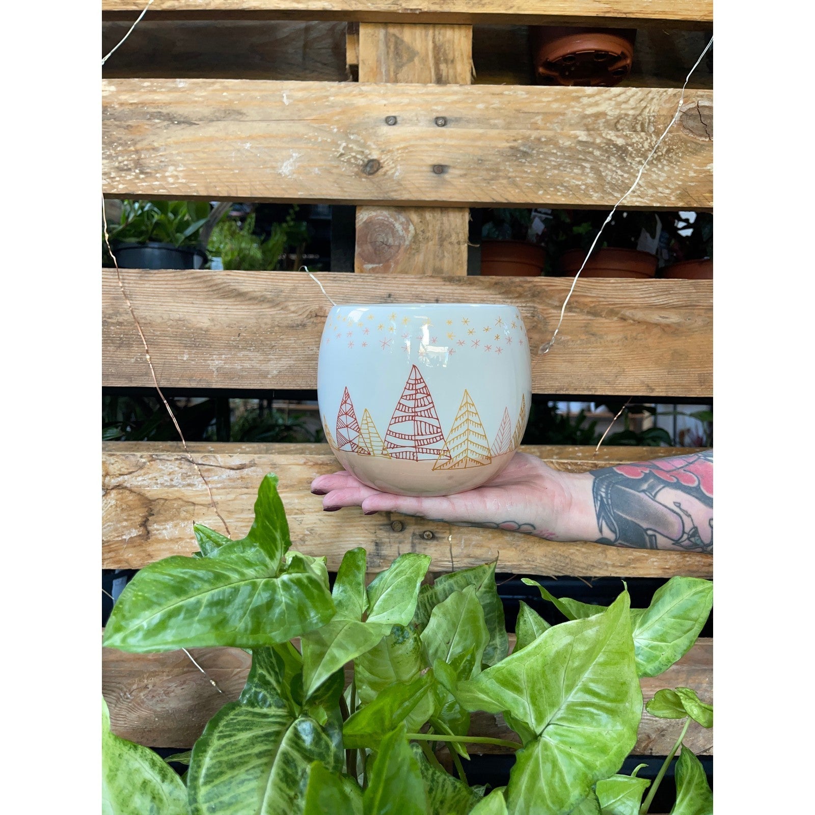 Christmas Forest Planter