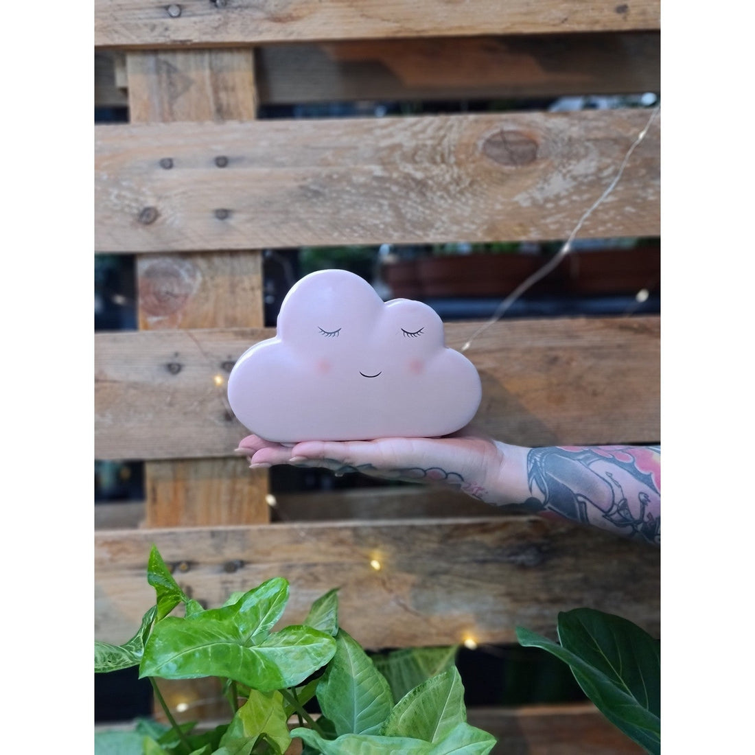 Cloudy Mcleod Planter