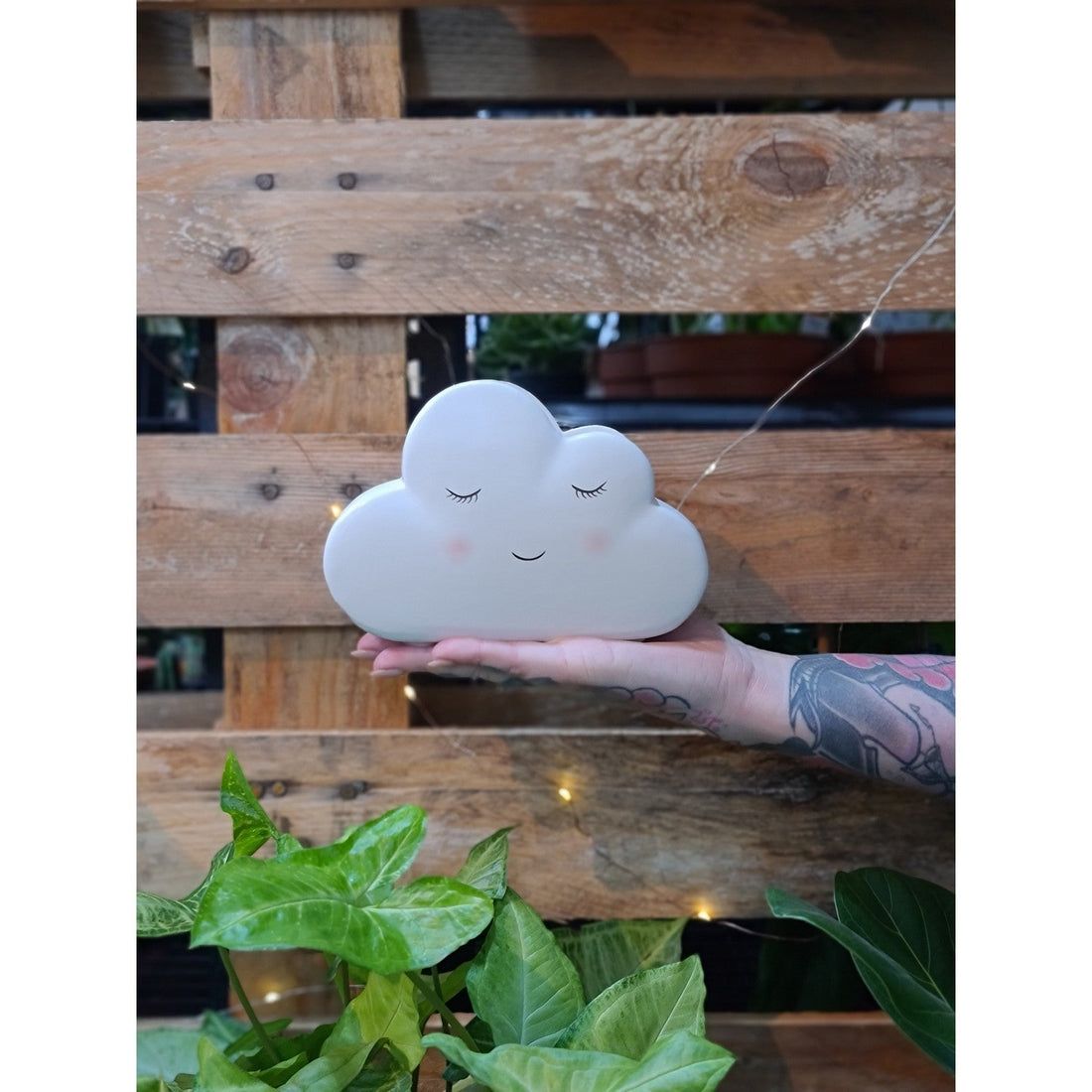 Cloudy Mcleod Planter