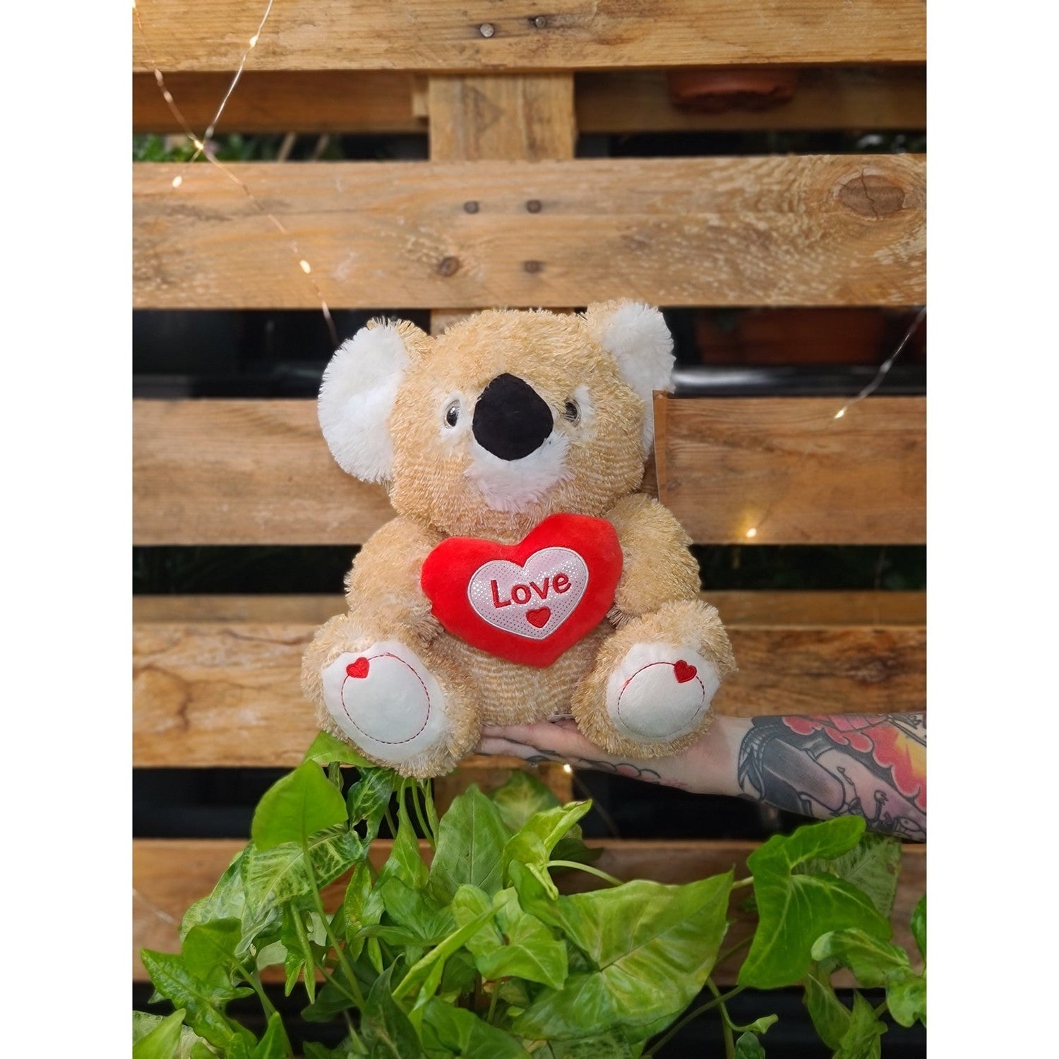 Cuddly Koala Plush