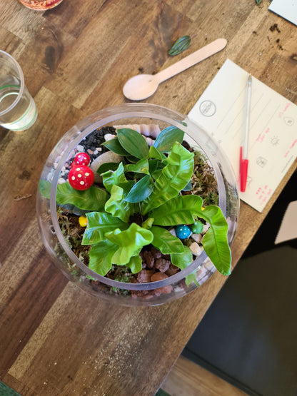 Terrarium Workshop for Beginners
