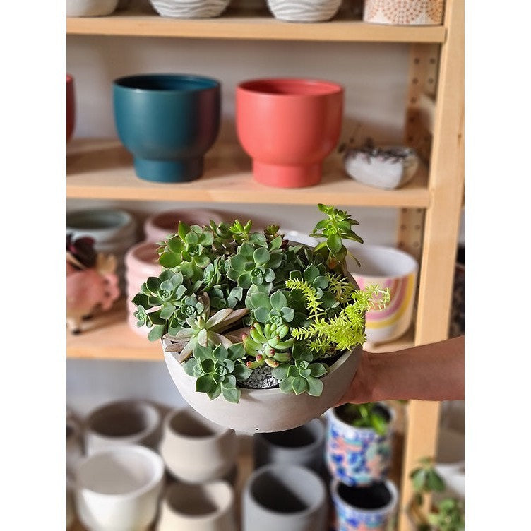 DIY Succulent Bowl