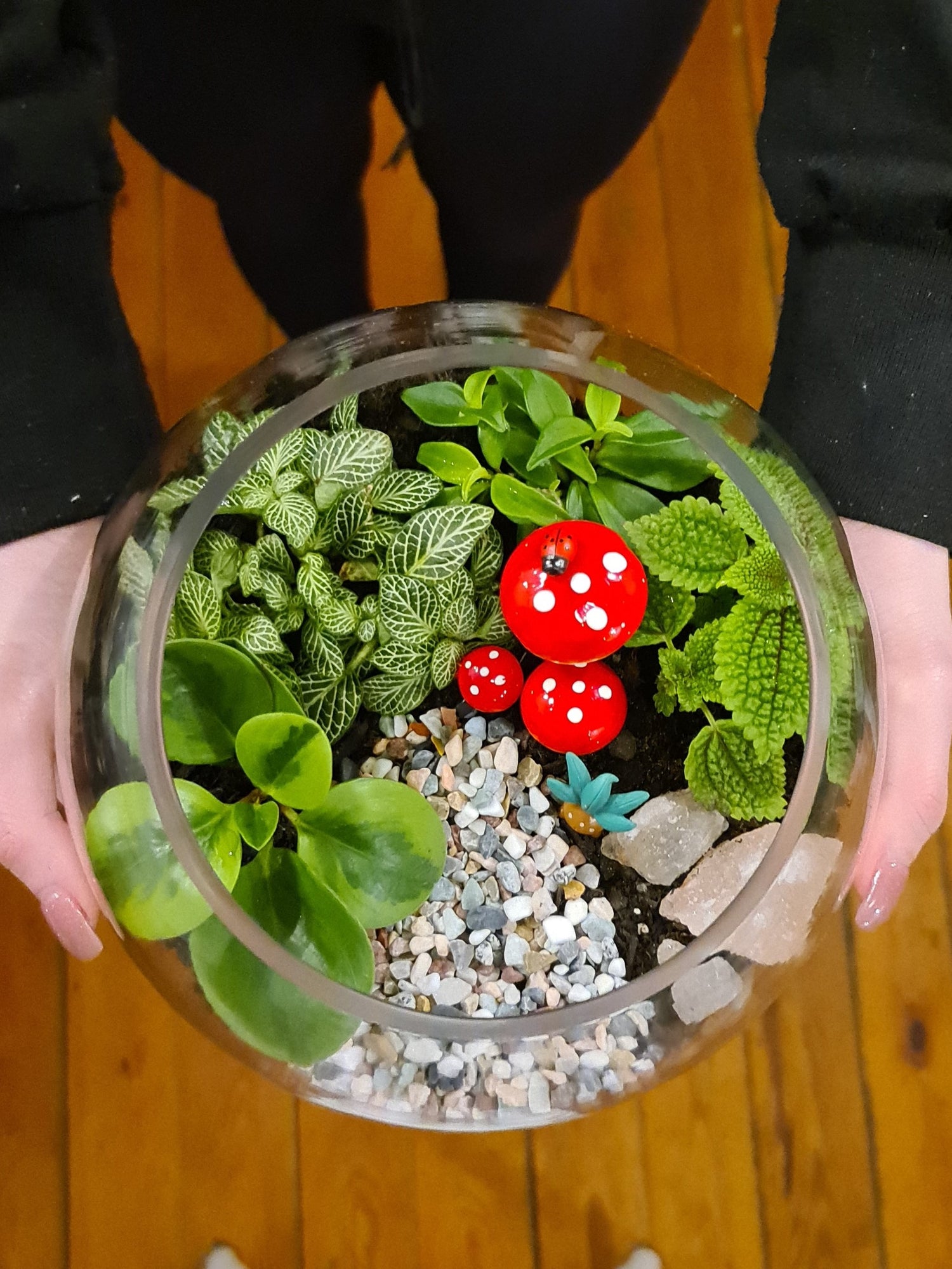 Terrarium Workshop for Beginners