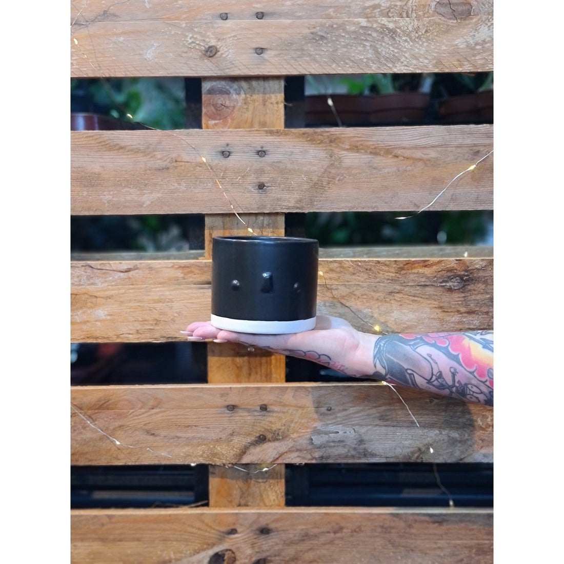Freddie Face Planter