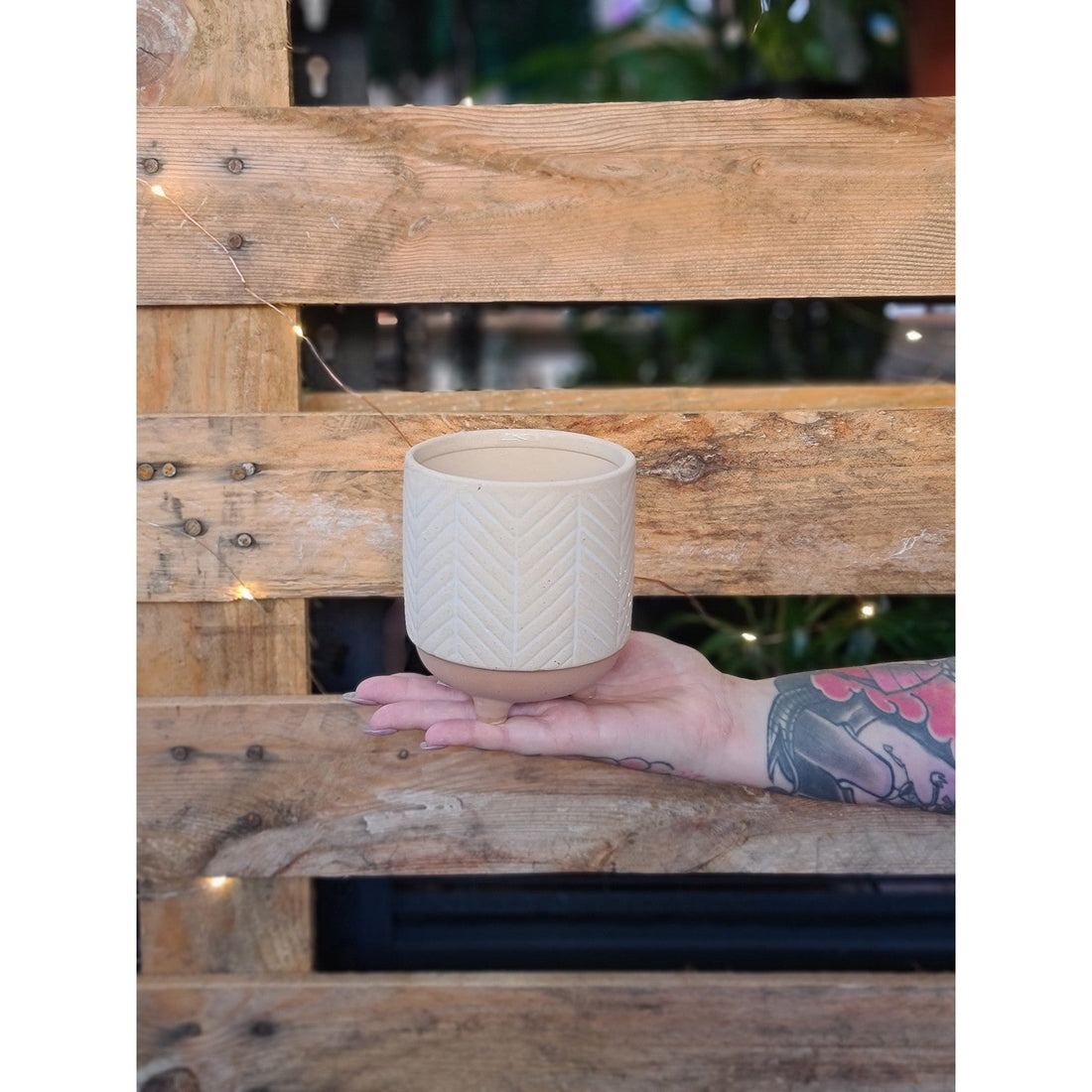 Kyra Stripe Planter