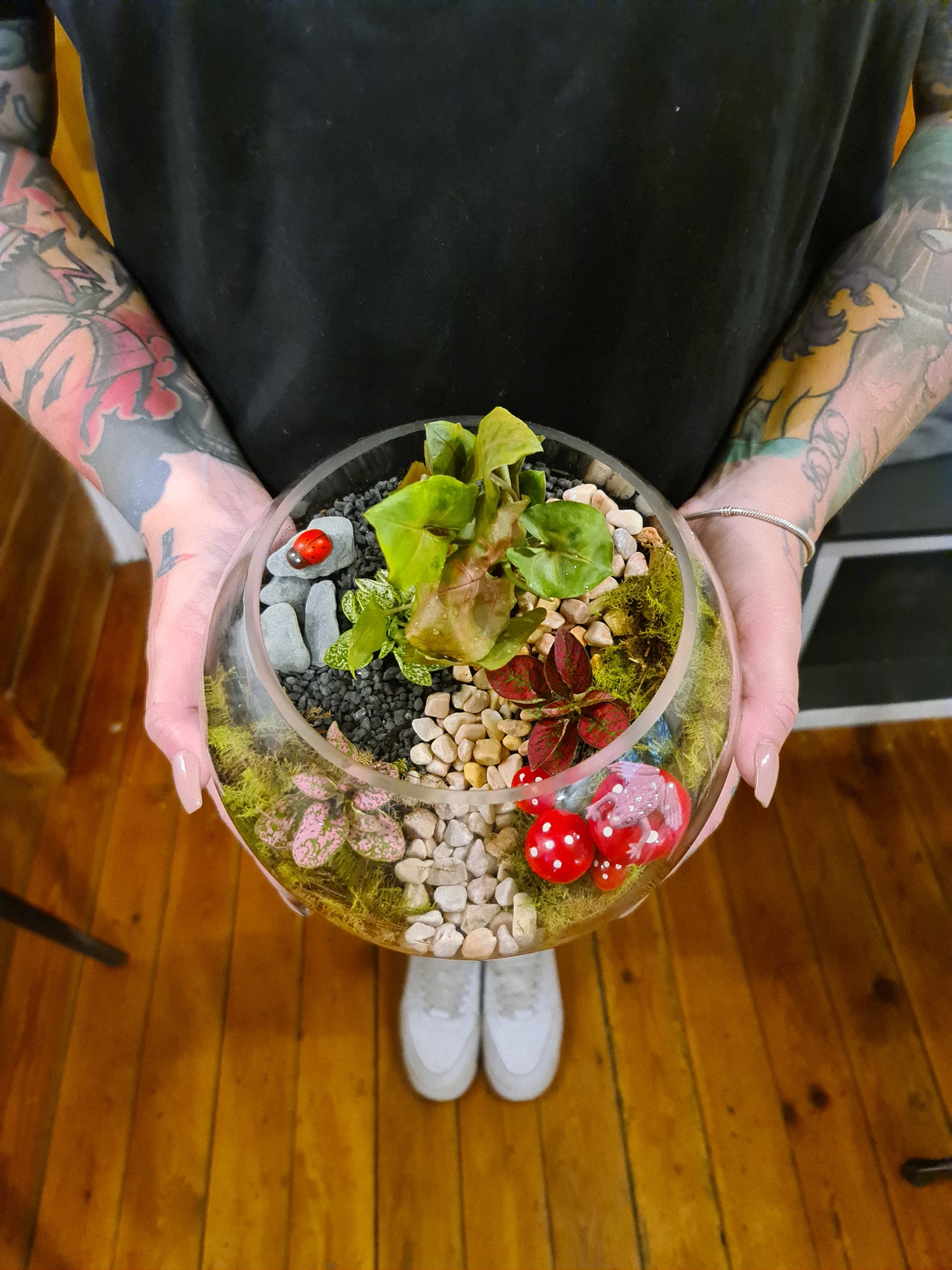 Terrarium Workshop for Beginners