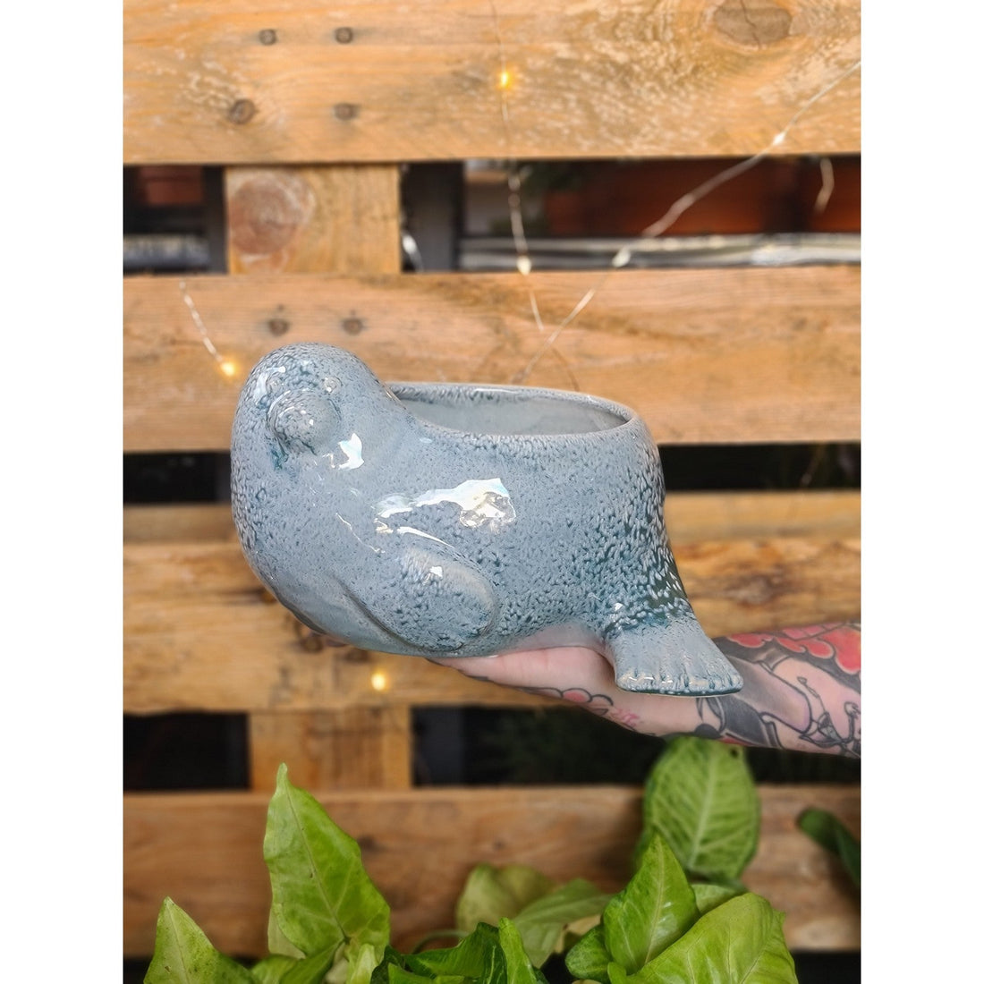 Lazy Seal Planter