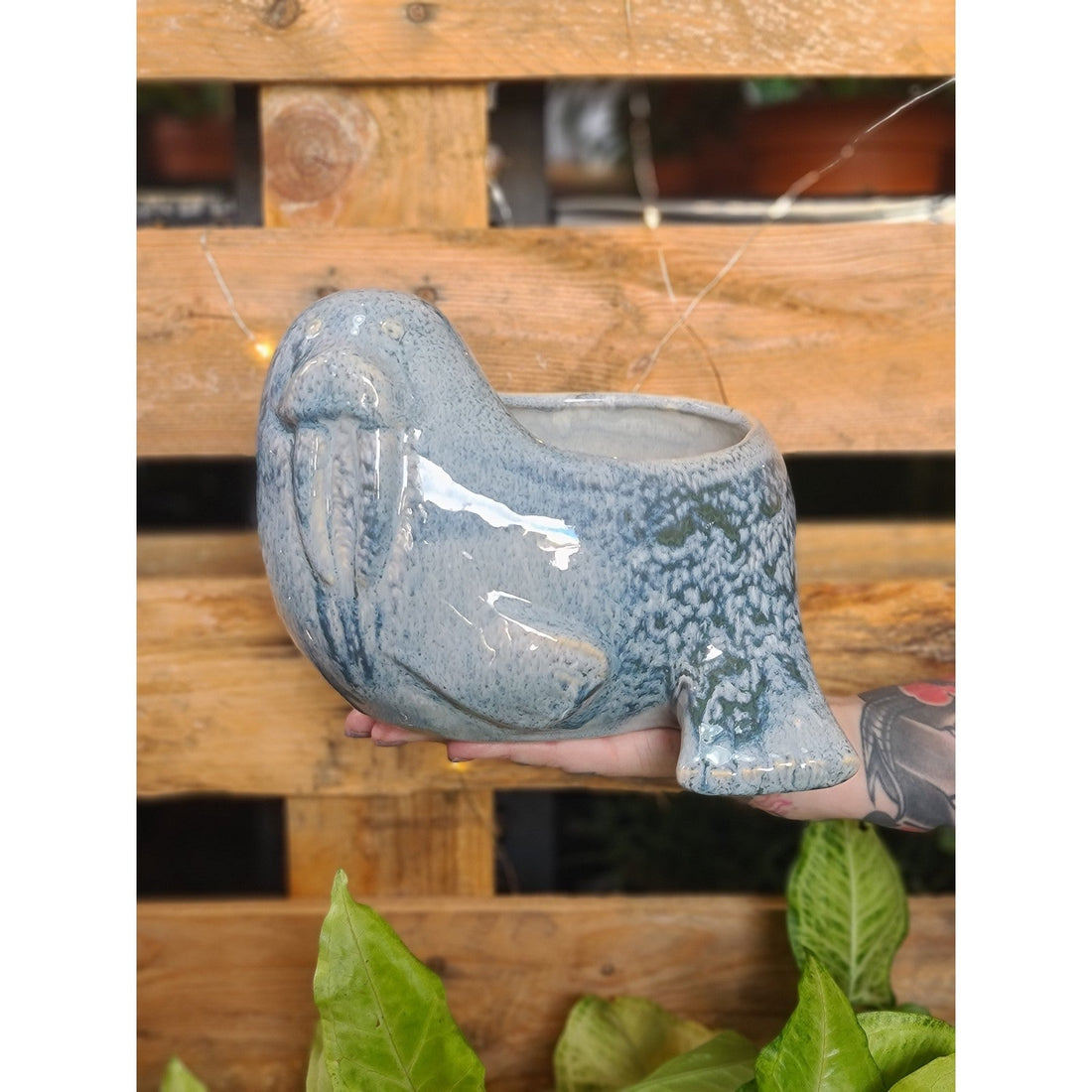 Lazy Walrus Planter