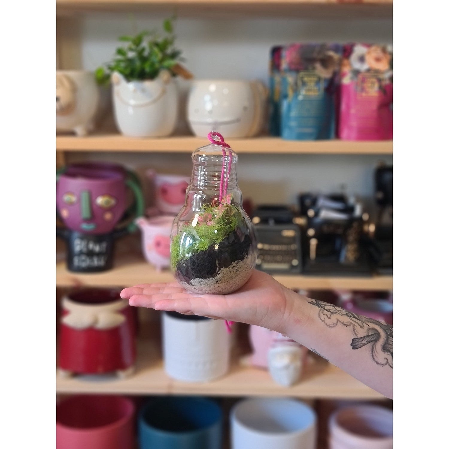 Mini DIY Terrarium Kit