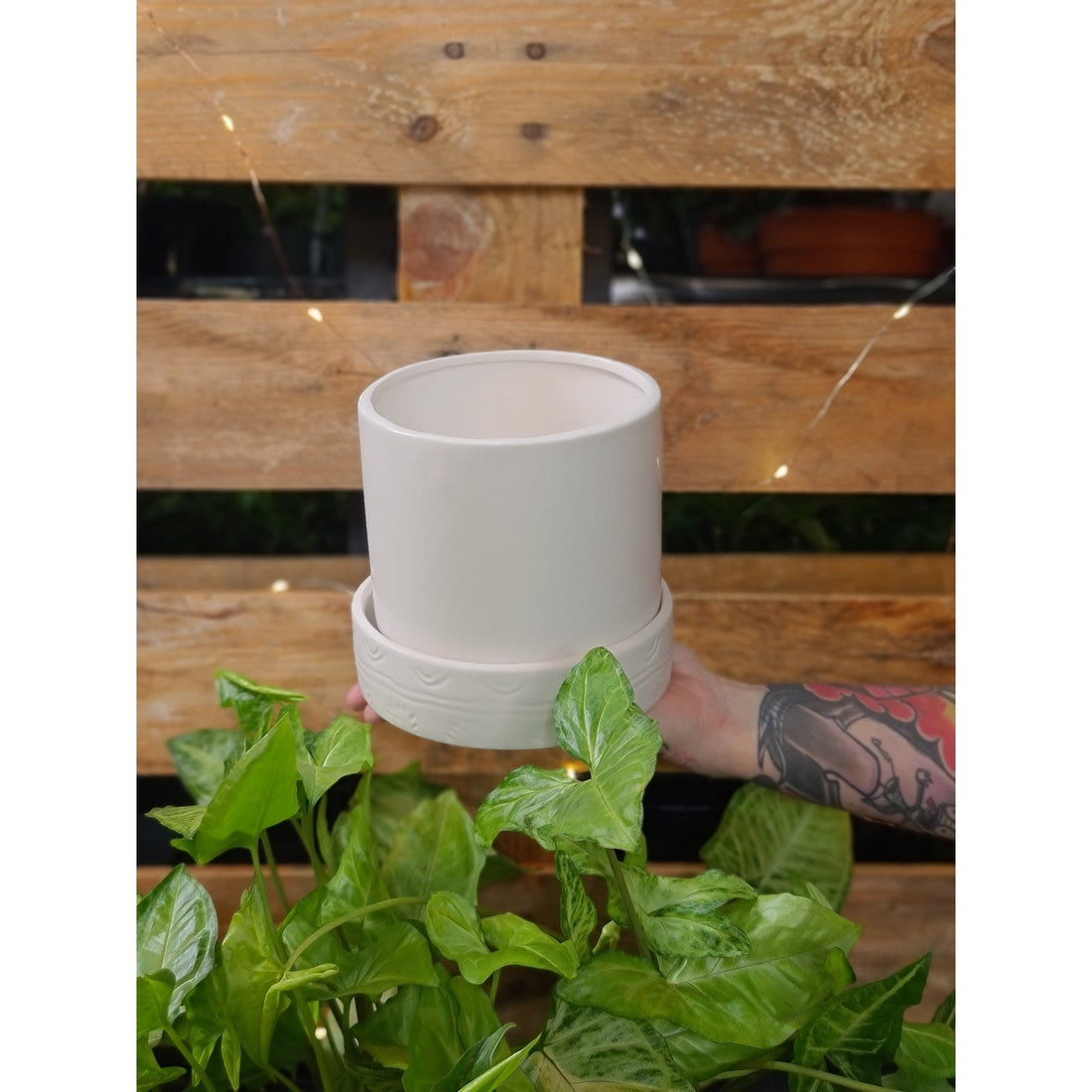 Mynx Planter