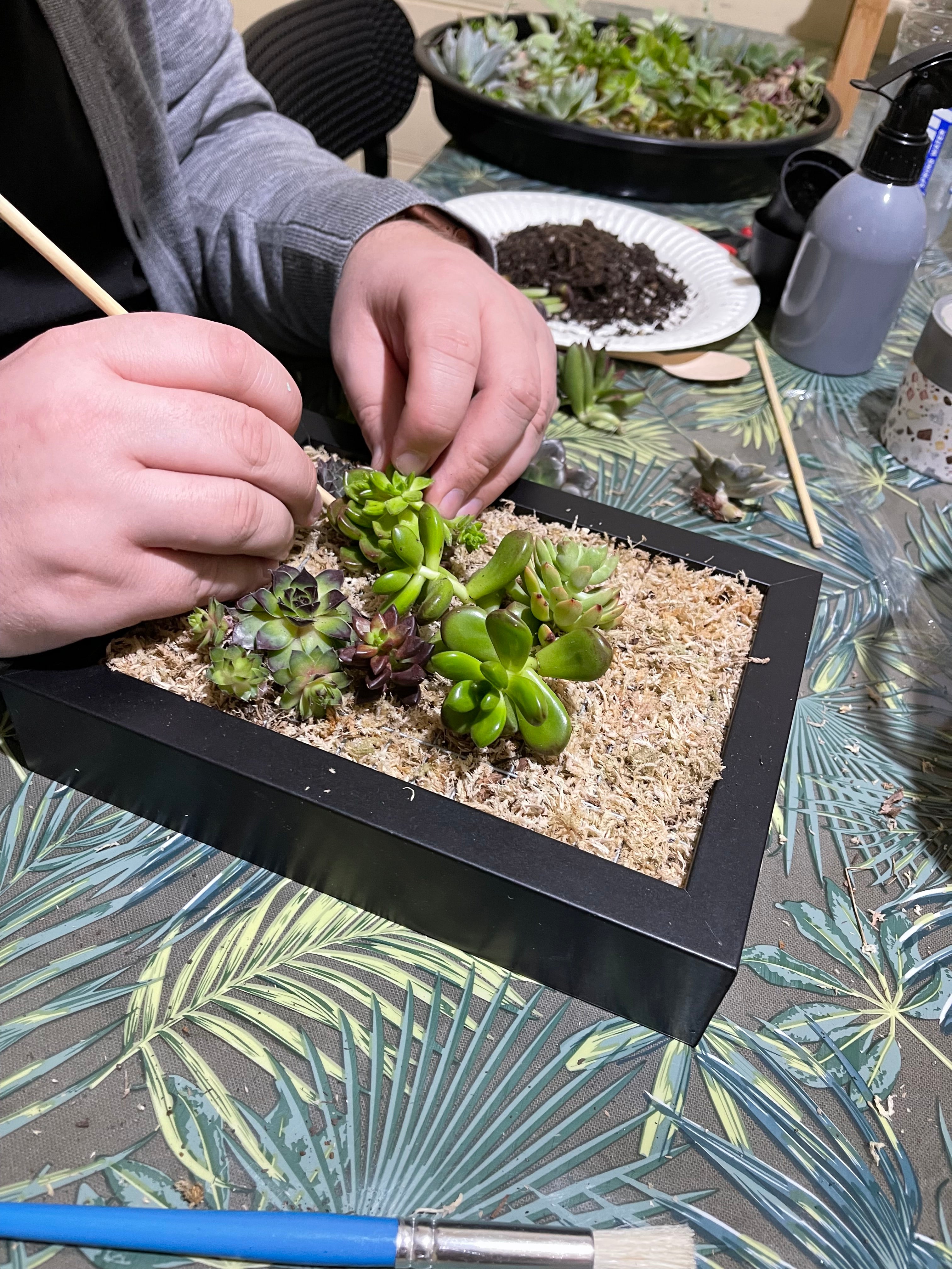 Vertical Succulent Garden Workshop for Beginners