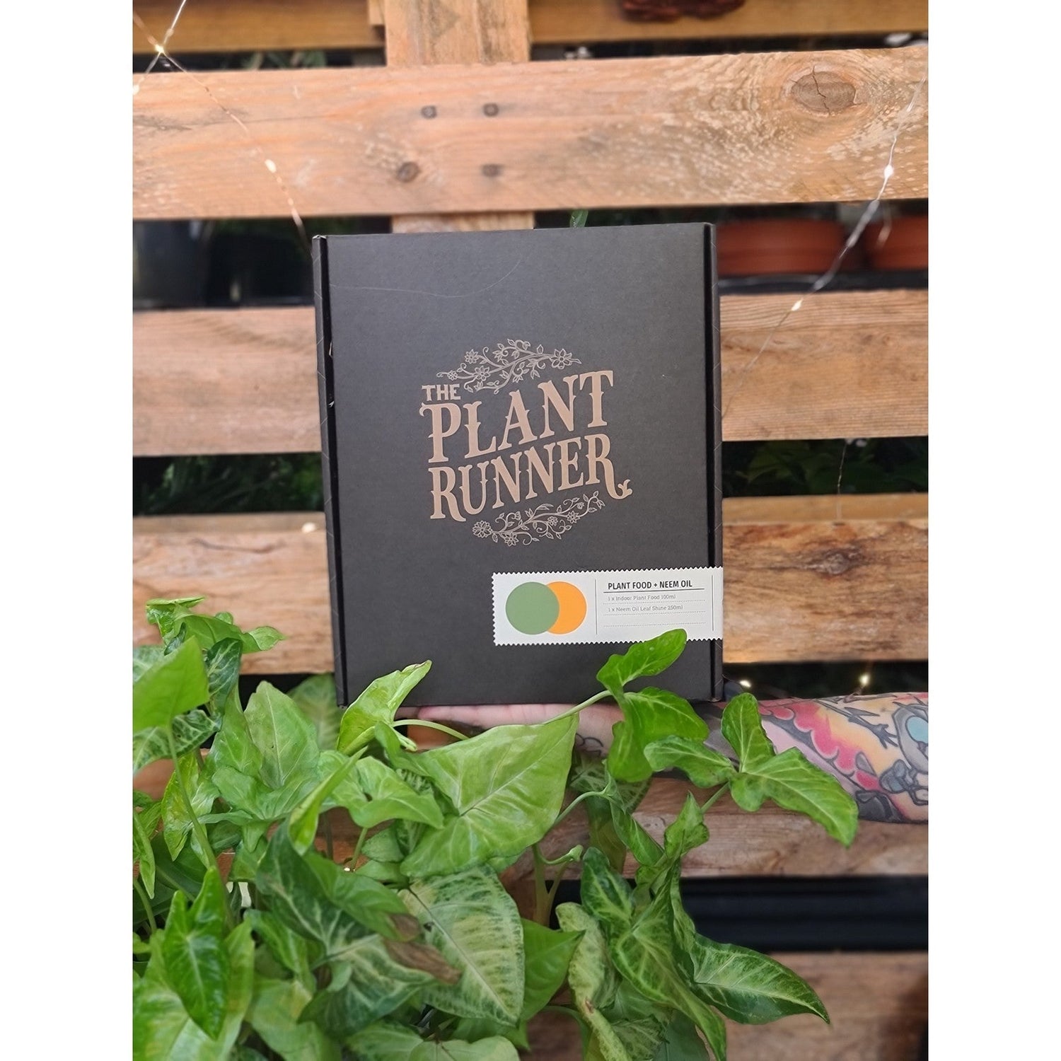 Plant Runner Essentials Kit