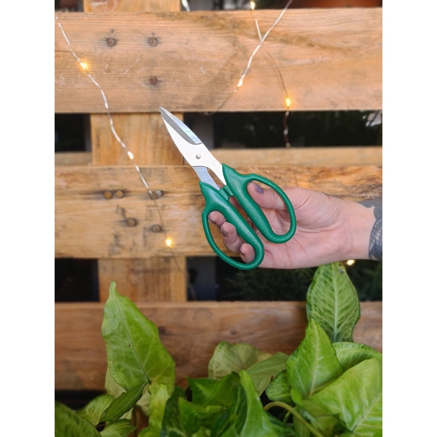 Plant Trimming Scissors