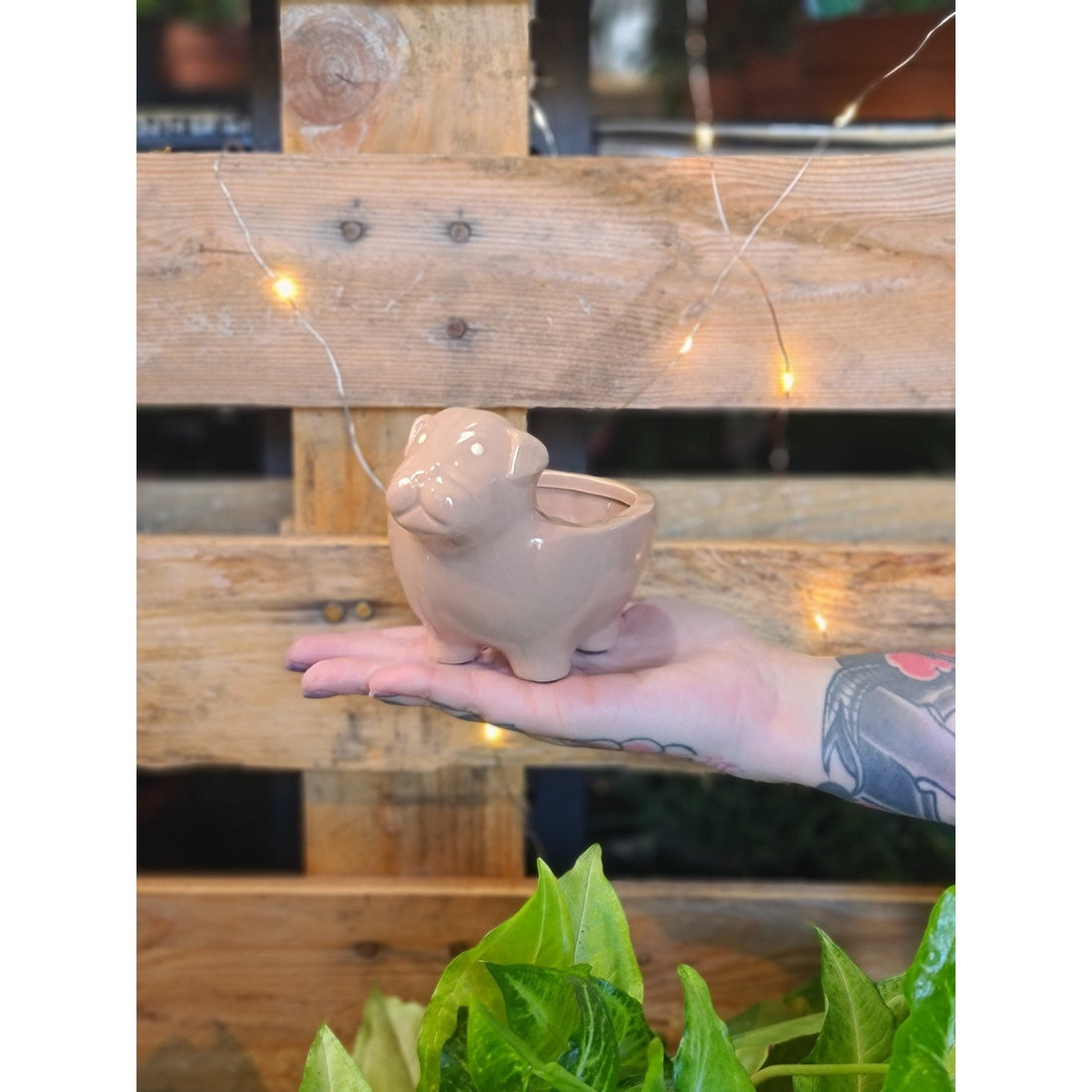 Pup Planters