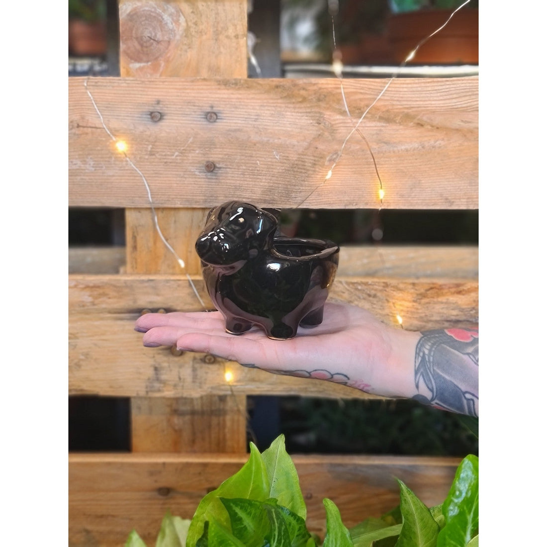 Pup Planters