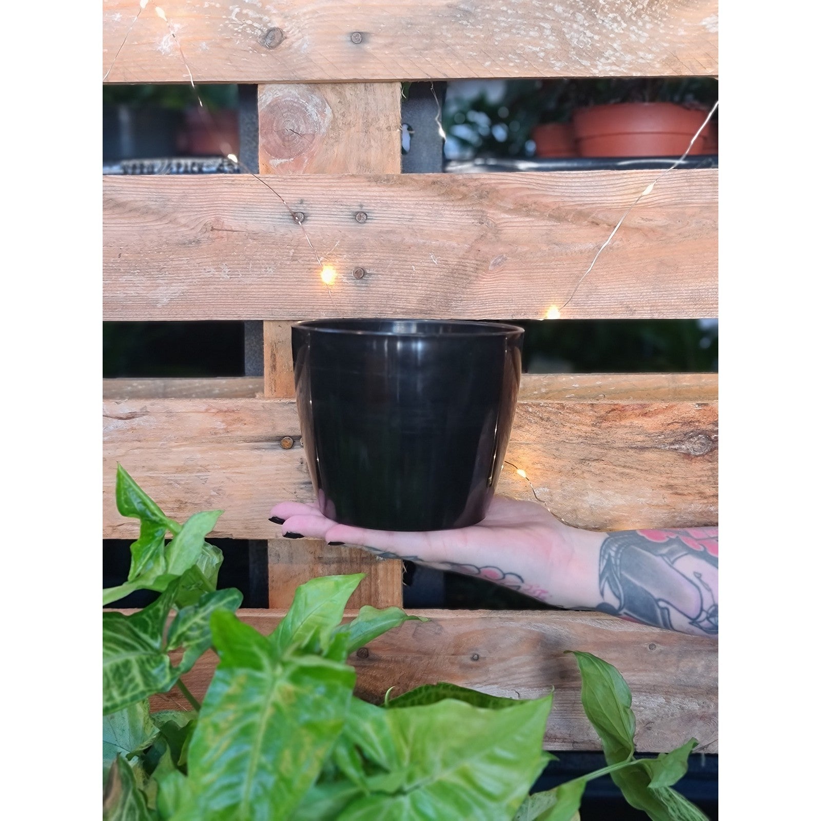 Regal Plastic Planter Pot