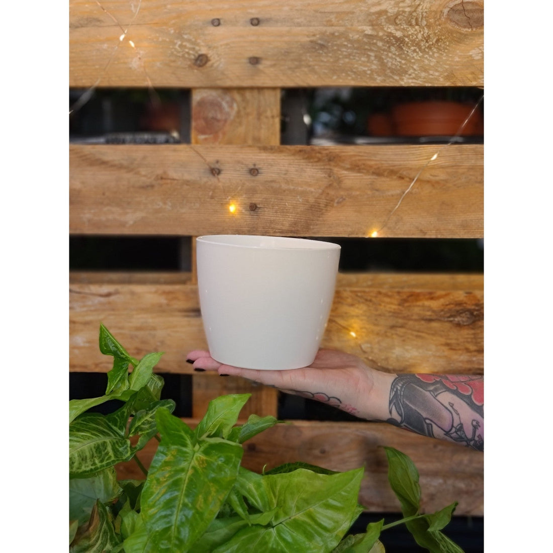 Regal Plastic Planter Pot