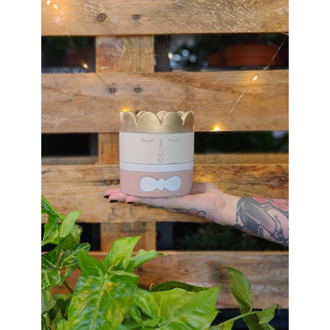 Royal Planter