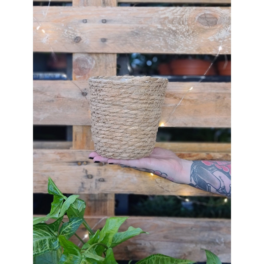 Sahara Basket