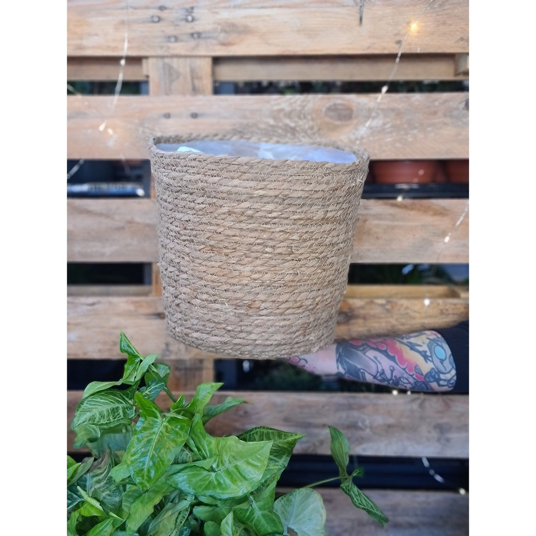 Sahara Basket