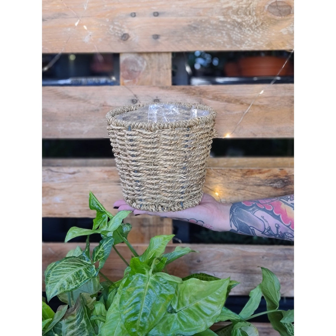 Seagrass Planter