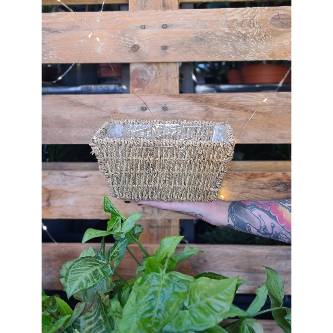 Seagrass Planter