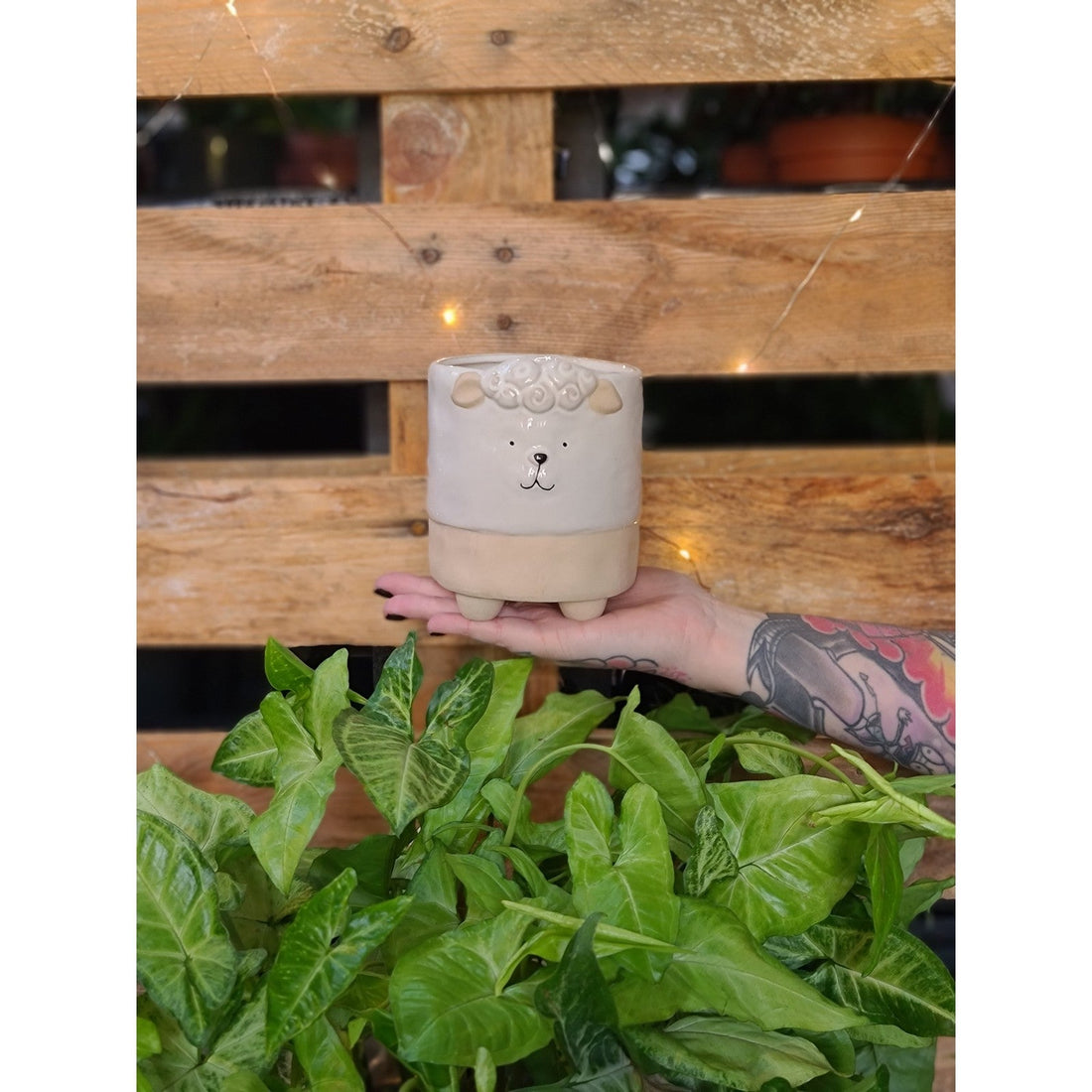 Sheepish Planter