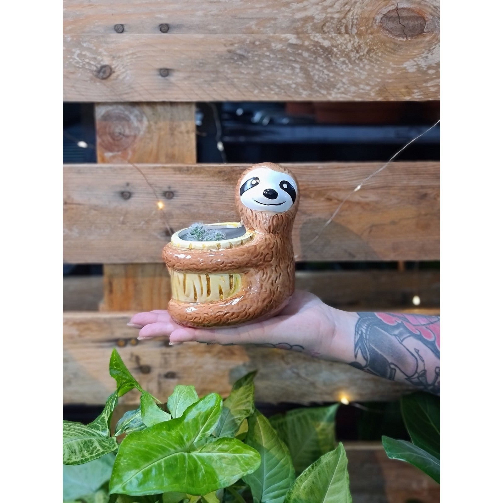 Sloth Cuddles Planter