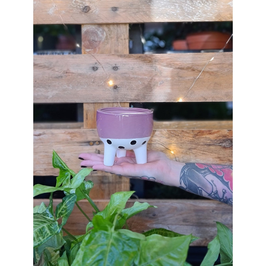 Spotty Bum Planter