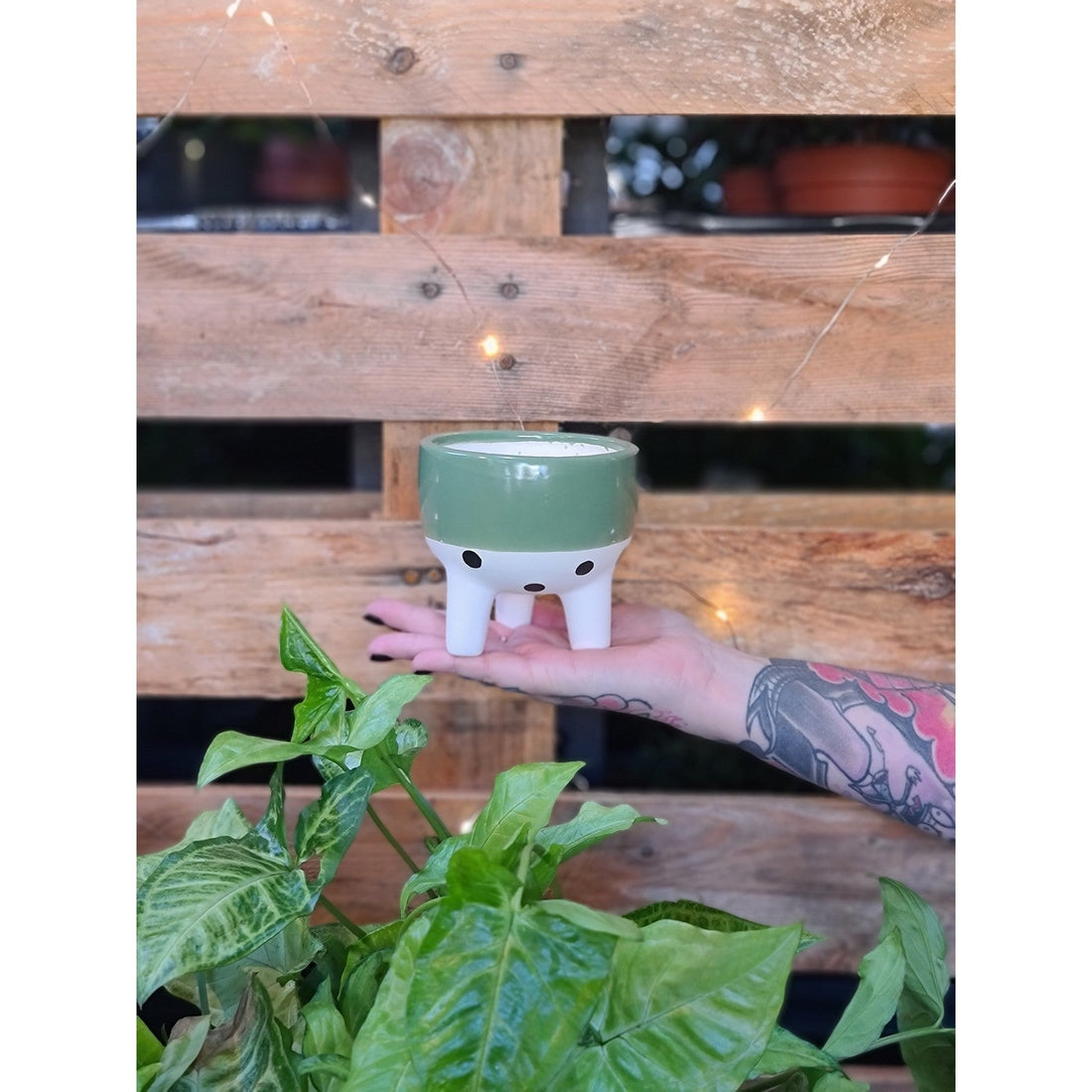 Spotty Bum Planter
