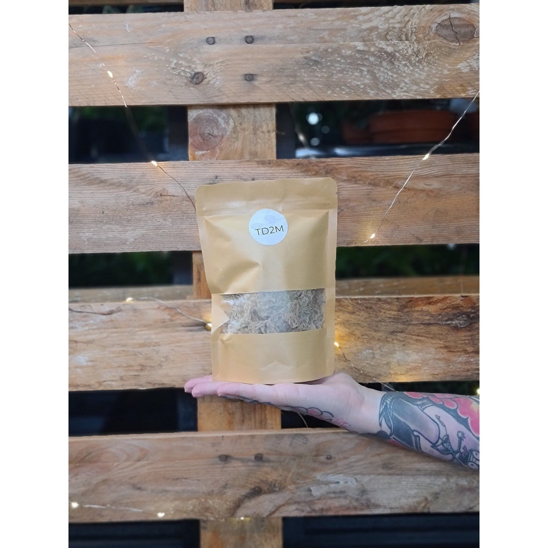 TD Propagation Medium Essentials