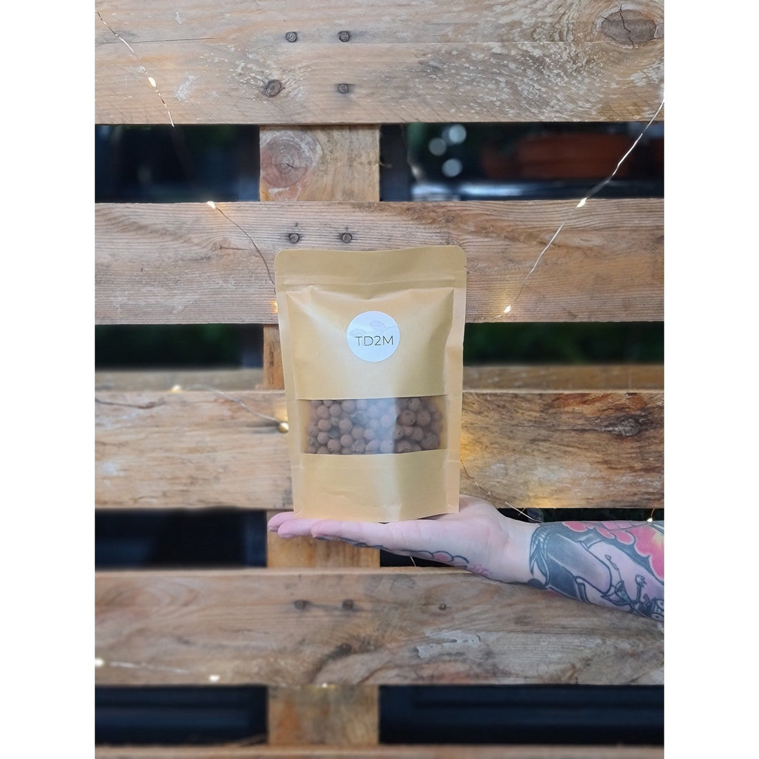 TD Propagation Medium Essentials