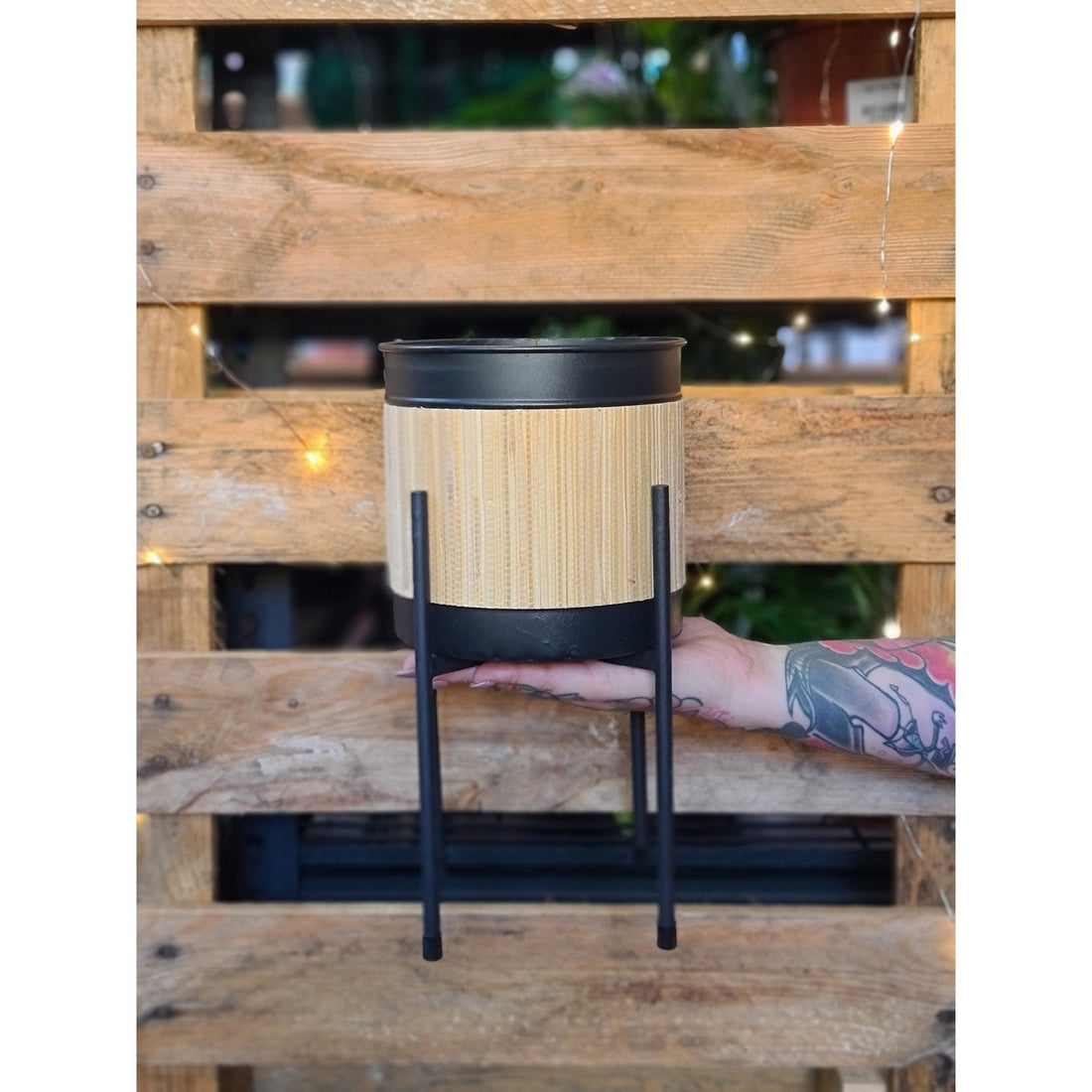 Tall Designer Leggy Planter