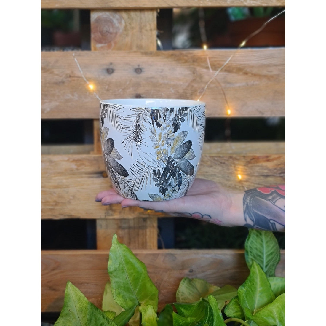 Tropicana Planter