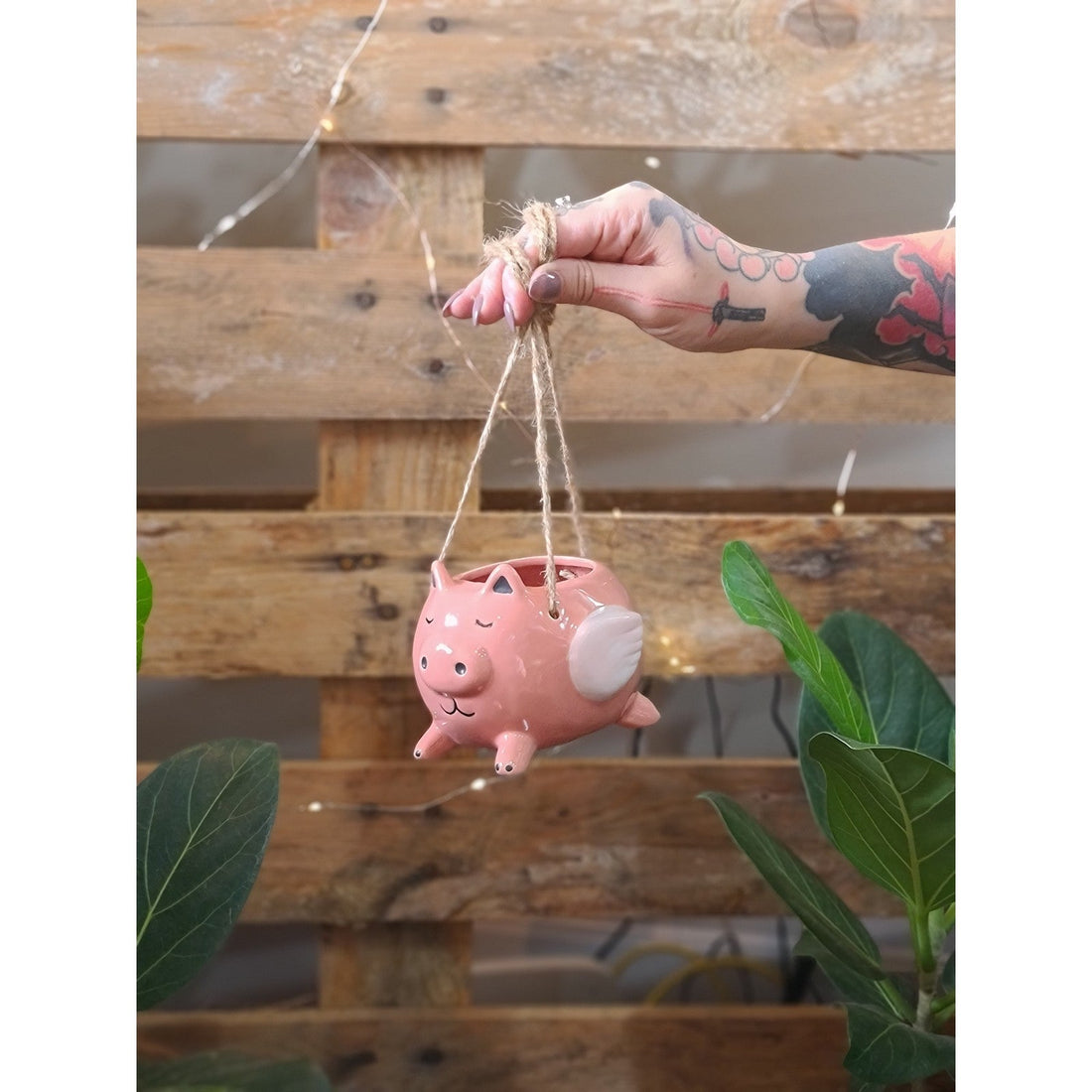 When Pigs Fly