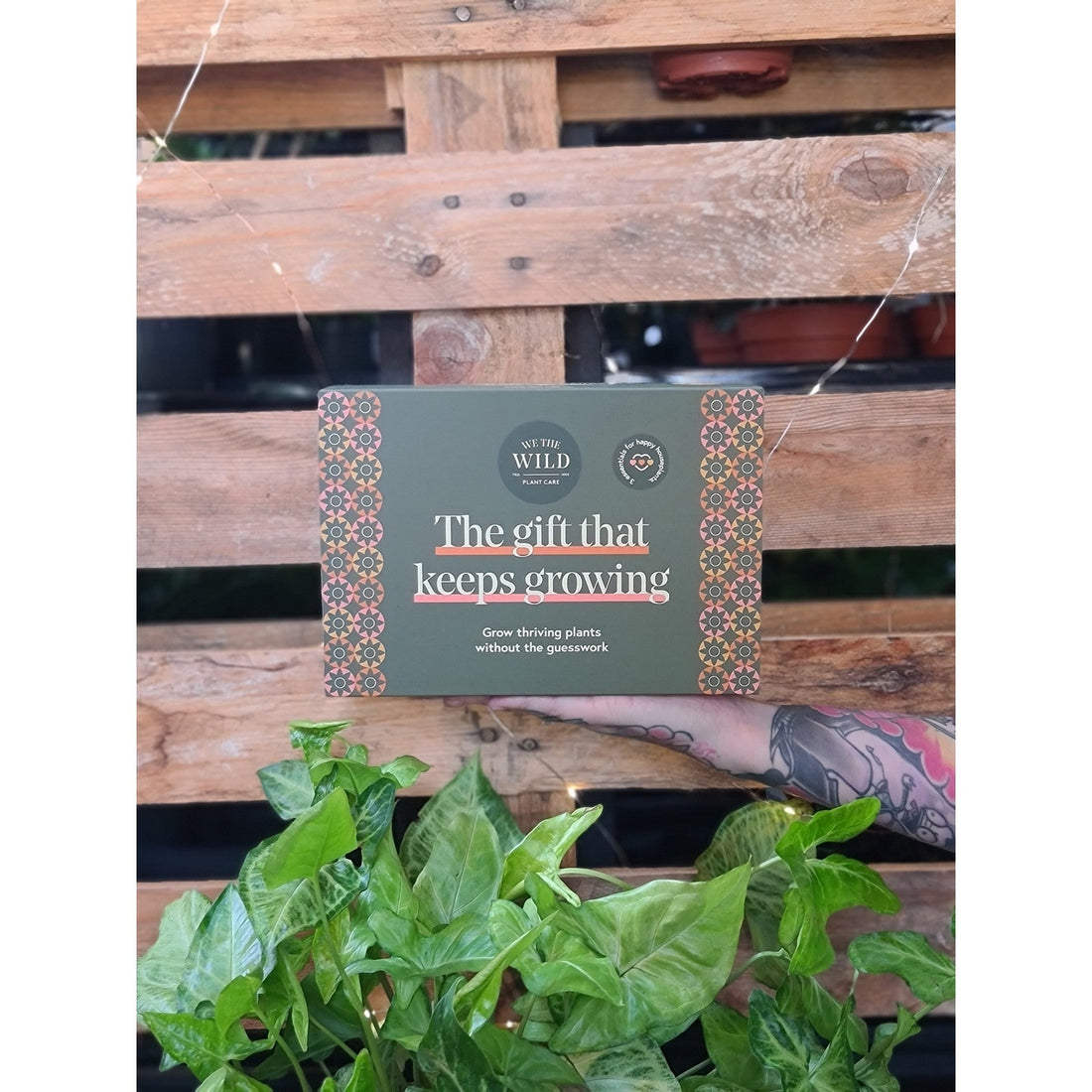 Wild Essential Plant Care Kit
