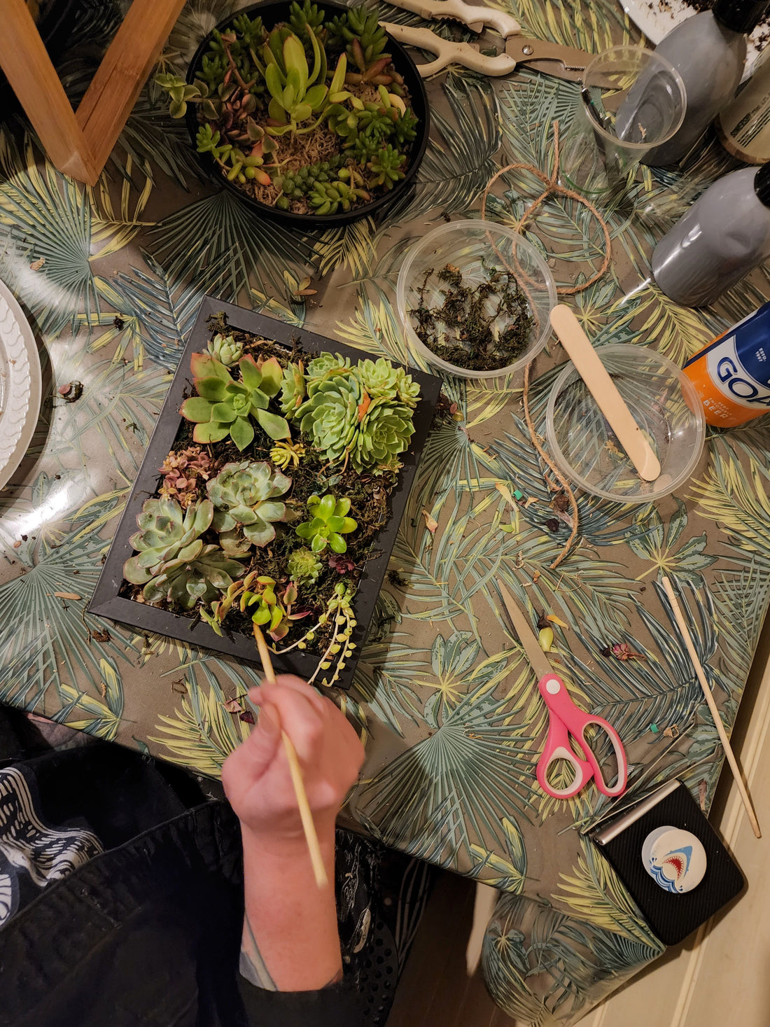 Vertical Succulent Garden Workshop for Beginners